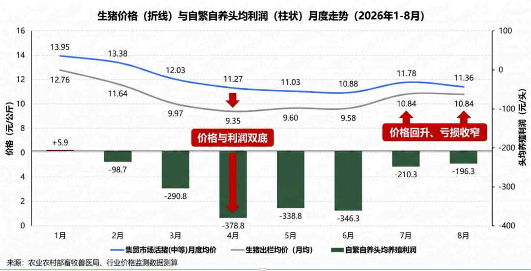 Monthly Trend of Live Hog Prices and Self-Breeding Profit Margins (Jan-Aug 2026)